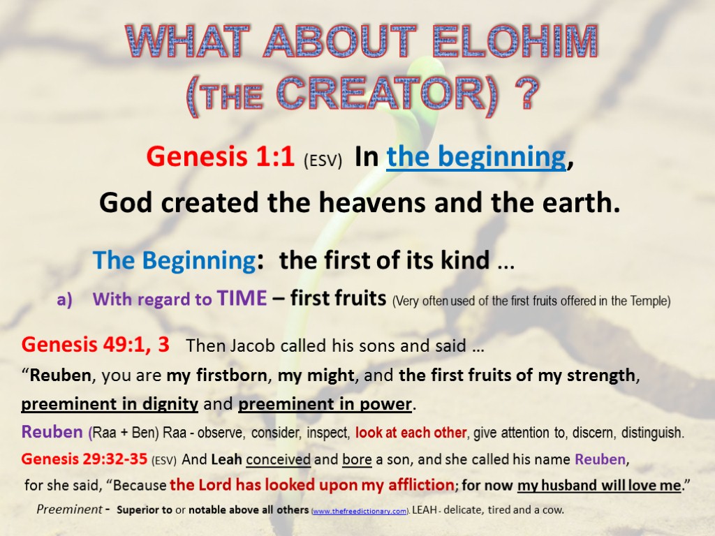 WHAT ABOUT ELOHIM (THE CREATOR) ? Genesis 1:1 (ESV) In the beginning, God created